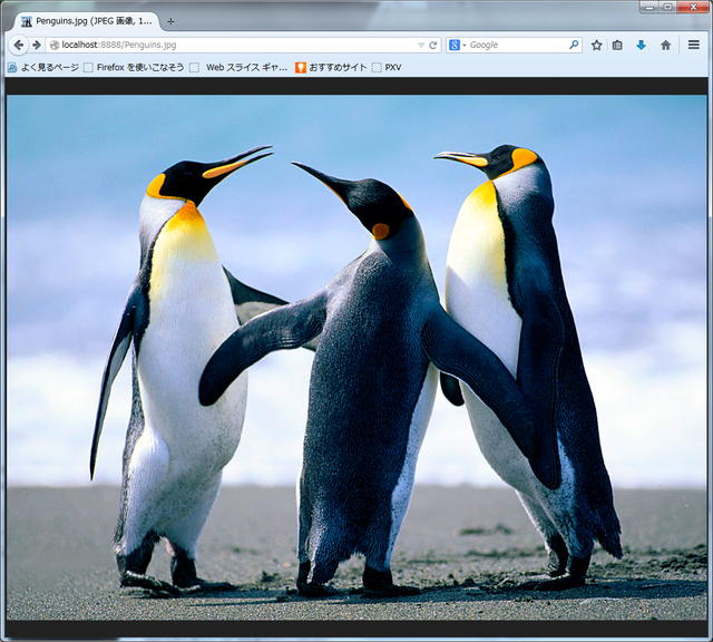nodejs-penguins